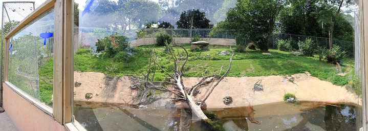 [1] pano, 100CANON, 17 images, IMG_2754 - IMG_2770 - 7204x2568 - SCUL-Smartblend.jpg - Enclos des tigres